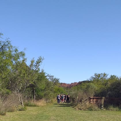 En la reserva Sendero del Monte, de Gualeguaychú, convergen tres ecorregiones