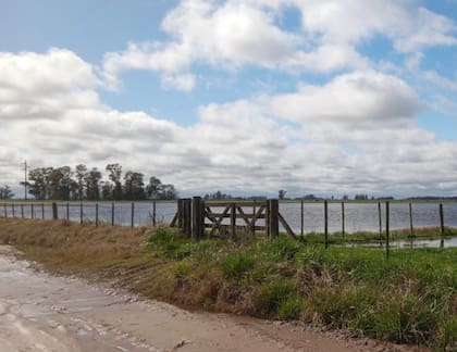 En la reunión del 8 de agosto pasado, la Comisión Nacional de Emergencias y Desastres Agropecuarios analizó la situación provincial y recomendó formalmente “declarar el estado de emergencia y/o desastre agropecuario, según corresponda