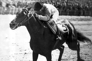 El haras La Biznaga empieza a cerrar su historia, que será inolvidable