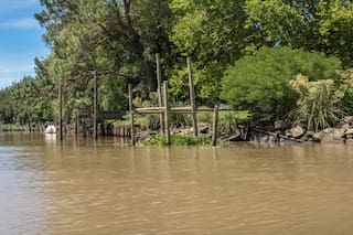 Isla de las camelias: Un tesoro de colores en el corazón del Delta