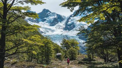 En la senda del glaciar Cagliero Este