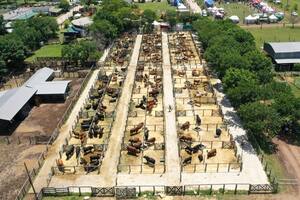 En la Sociedad Rural de Corrientes, el evento buscará "generar un espacio para los agronegocios, el conocimiento, la biotecnología"
