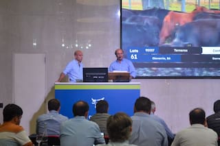 Se pagaron hasta US$4 por el kilo de ternero