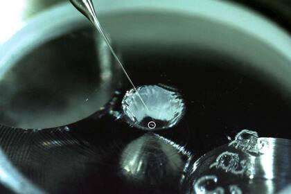 En la superficie del asteroide se halló agua y materia orgánica a través una muestra obtenida Foto: ISAS-JAXA