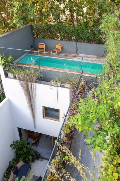 En la terraza, un jardín en altura creado por los dueños de casa en tiempos de pandemia, tras varios experimentos.