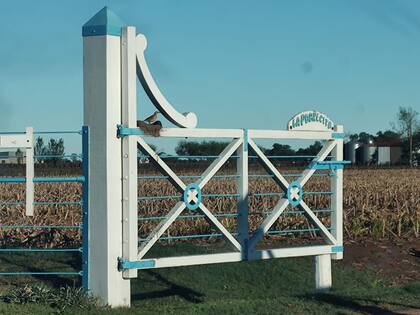 En la tranquera de entrada al campo, el hornero decidió continuar con su tarea