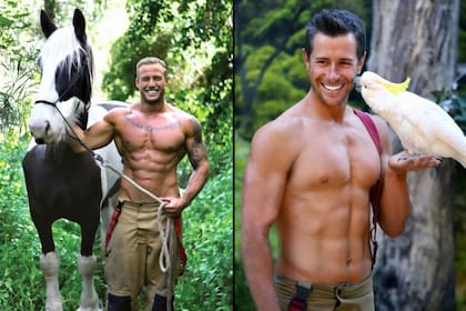 En la última edición, los bomberos posaron con 6 temáticas diferentes donde incluyen todo tipo de animales.