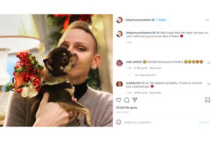 En la última publicación en su cuenta de Instagram, la princesa Charlene aparece junto a su perro Monte para revelar que murió atropellado
