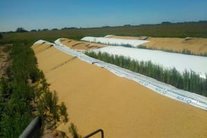 Silobolsas: destruyen nueve bolsones en San Antonio de Areco