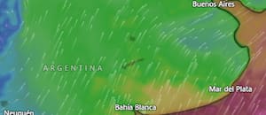 Rige una alerta amarilla por frío extremo y nevadas para este domingo