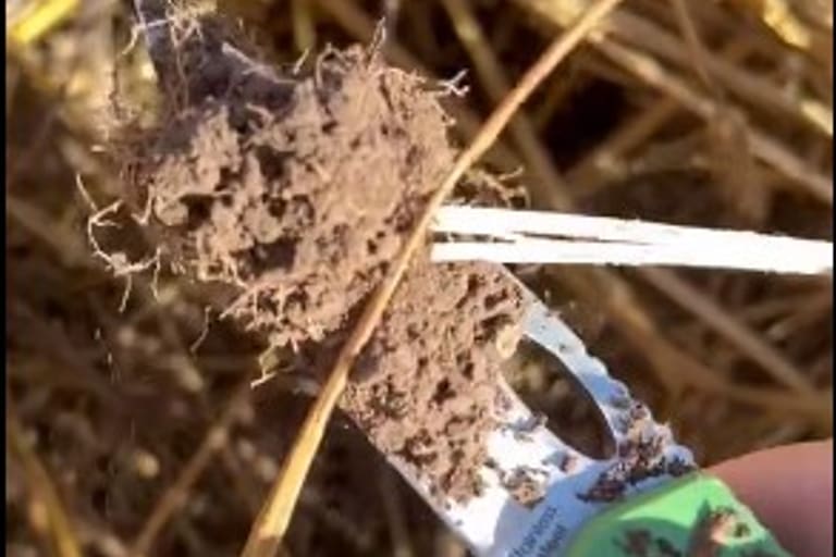 “Da un poco de miedo”: preocupación en la principal región agrícola por un inesperado retraso