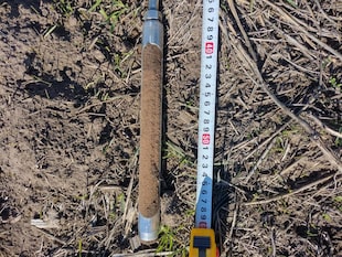 En la zona de Carlos Tejedor todavía es escasa la humedad del suelo