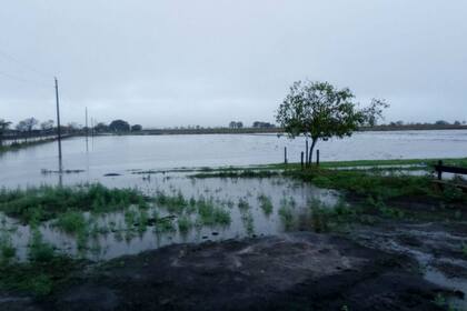 En la zona de Humboldt también hay campos anegados