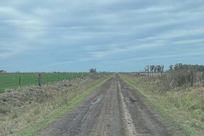 En la zona de Monte Buey las lluvias eran esperadas por los productores