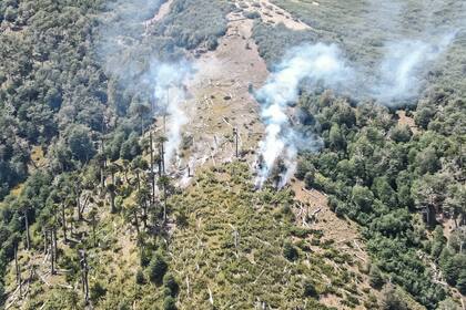 En la zona del Mirador Bandurrias se detectó a un grupo de vecinos de San Martín de los Andes encendiendo fogones en lugares no habilitados