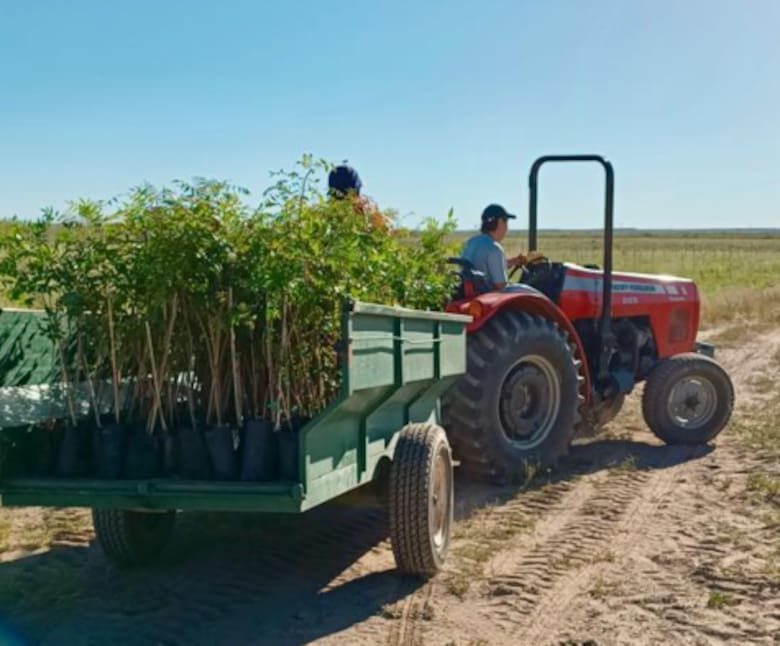 Apostaron a un cultivo no tradicional y hoy construyen un nuevo negocio exportador en La Pampa
