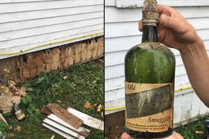 Invaluables: remodelaba su casa y halló 66 botellas de whisky en las paredes