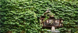 Claves para diseñar una medianera con profundidad, textura y movimiento