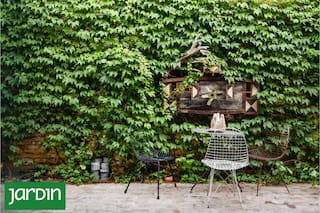 Claves para diseñar una medianera con profundidad, textura y movimiento