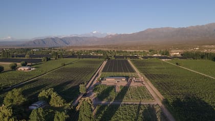 En Las Compuertas, MAAL tomó forma en 2021 con la brújula puesta en los materiales reciclados en un terreno largo y angosto con vistas privilegiadas a las montañas