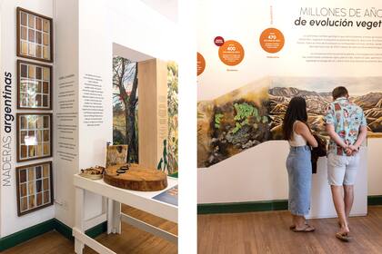 En las dos fotos se pueden ver murales que ilustra los pasos de los millones de años de evolución vegetal. Los profundos cambios geológicos que sufrió el planeta a través de movimientos y catástrofes originaron la respuesta evolutiva de los seres vivos.