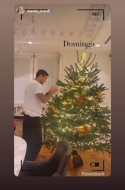 En las fotos se puede ver la altura del pino, mucho más alto que el futbolista del PSG