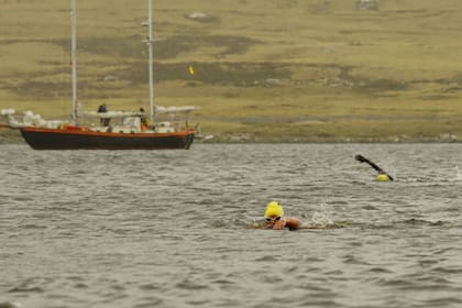En las Malvinas, sin traje de neoprene