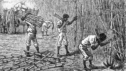 En las plantaciones de caña de azúcar que había heredado Delphine tenía decenas de esclavos