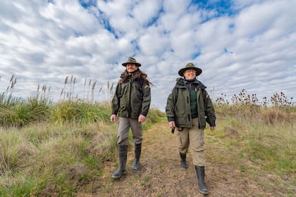 En las recorridas por el campo que realizan cotidianamente, los guardaparques suelen ver ejemplares del ciervo de los pantanos.