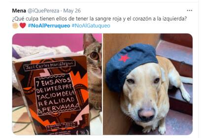 En las redes sociales comenzaron a circular reacciones de humor y bronca por los dichos de la dueña del hotel canino