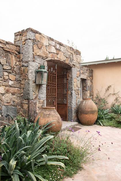 En las vasijas, beschornerias con su follaje verde gris que completan la escena.