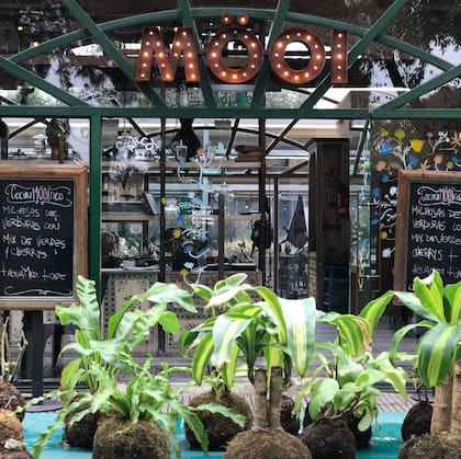 En las veredas y patios de Möoi los compañeros de cuatro patas son muy bien recibidos