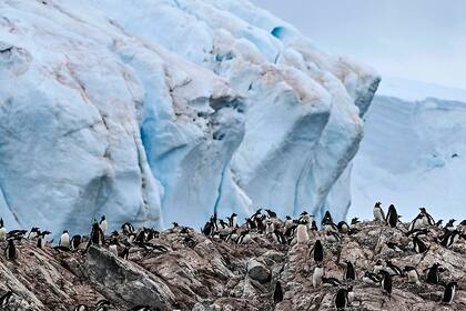 En las zonas costeras de la Antártida las temperaturas en verano pueden alcanzar los 0 °C, mientras que en el interior de la meseta antártica y en las zonas montañosas del continente las temperaturas mínimas en el invierno pueden alcanzar los -70 °C.