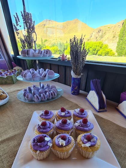 En Lavandas del Limay hay una casa de té donde se puede degustar desde limonada y gin de lavanda hasta macarrones producidos con extractos de las plantas lilas.