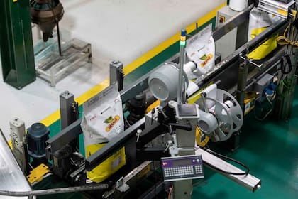En línea con el objetivo de construir sistemas productivos más eficientes, sustentables y adaptados a cada ambiente, el portafolio de
Dekalb continúa consolidándose como uno de los más robustos y diversificados del mercado.