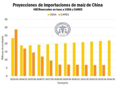 En lo que respecta al maíz, para la campaña 2034/35, el USDA proyecta que China, importe 21,9 millones de toneladas de maíz, lo que refleja una caída de cerca del 7% respecto del máximo alcanzado en la 2023/24