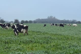 Un experto anticipó cómo va a seguir una actividad que busca dejar atrás un mal momento