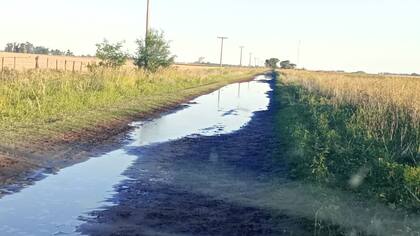 En lo que va del año ya registraron 630 milímetros de lluvias