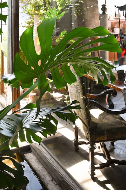 En los 2000 el artista desembarcó en esta propiedad que va completando "como un rompecabezas", con muebles y materiales que llegan de distintas partes del país.