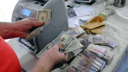 El dinero secuestrado en los allanamientos