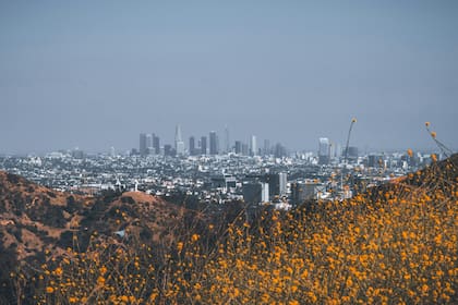 En Los Ángeles, el hogar típico gana menos de lo necesario para pagar una casa de precio medio
