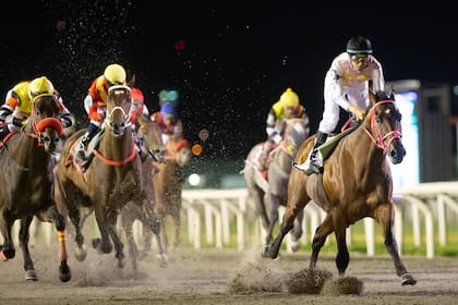 En los caballos de carrera la clonación está prohibida