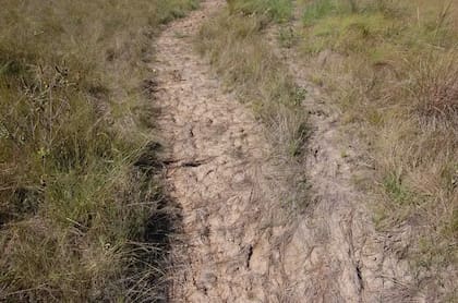 En los caminos se pueden encontrar abrojos y otras herramientas