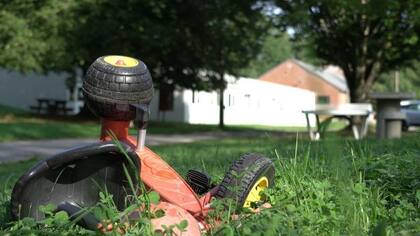 En los centros de Fedasil los solicitantes tienen un techo donde dormir y tres comidas al día