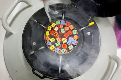 Los embriones se conservan dentro de cápsulas que a su vez se guardan dentro de incubadoras; no hay una cantidad límite de tiempo que pueden preservarse