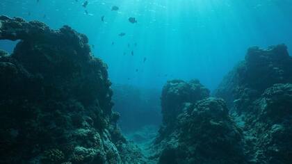 En los ecosistemas microbianos de aguas profundas, los organismos prosperan cerca de los respiraderos donde el fluido hidrotermal se mezcla con el agua de mar ambiental