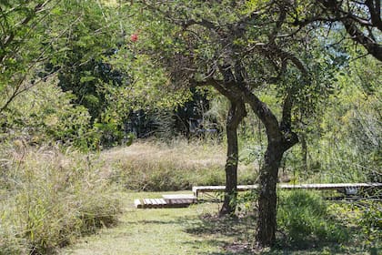En los jardines silvestres, la perfección se rinde ante la sostenibilidad