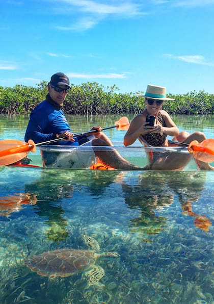 En los manglares rojos y las aguas traslúcidas de Mangrove Cay pueden verse tiburones recién nacidos y un sinfín de tortugas marinas.