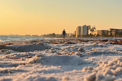 En los meses del invierno boreal, los termómetros en Florida marcan rangos de 15 °C a 25 °C