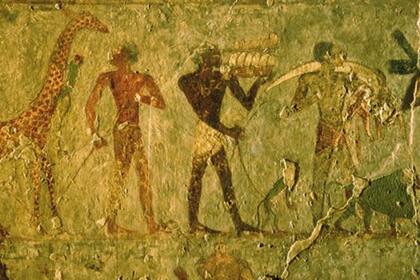 En los muros del templo quedó grabada la historia del fabuloso viaje a Tierra de Punto, como en en este fragmento, que exhibe el desembarco en Egipto de jirafas y monos